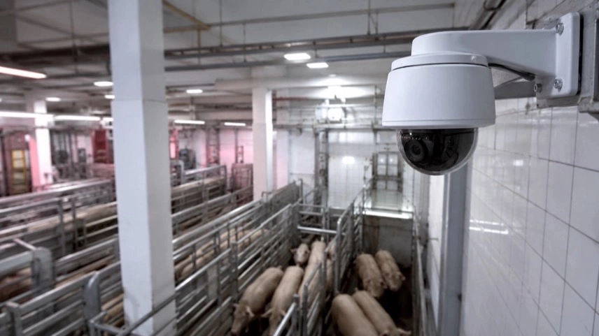 Überwachungskamera in einem deutschen Schlachthof mit Kontrollbereich für Tiertransporte und Tierschutzkontrollen