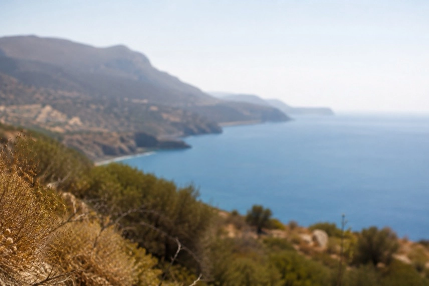 Trockene mediterrane Hügellandschaft mit Kiefern und Waldweg als Symbol für Waldbrandgefahr auf Kreta im Sommer