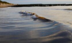 Bürgergeld im Umbruch: Was plant die Koalition?