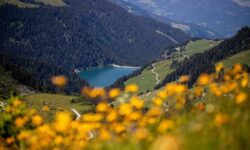 Frankreich wirft russischen Geheimdienst-Hackern gezielte Cyberangriffe vor