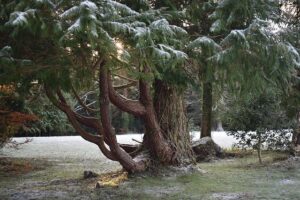 Mitgliedervotum enthüllt: Esken ohne starkes SPD-Netzwerk
