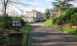 Schock für Plex-Nutzer: Streaming der eigenen Inhalte ab sofort kostenpflichtig!