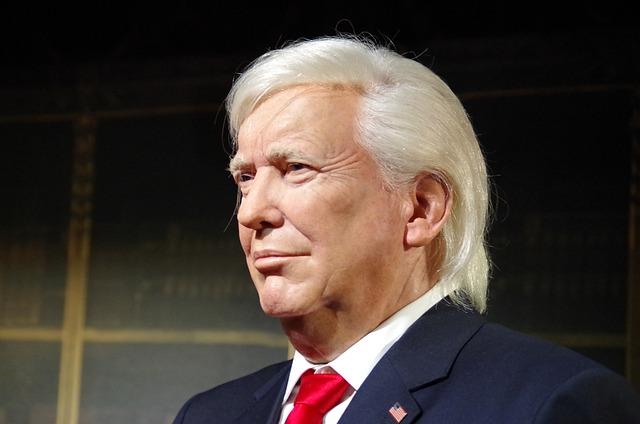 Trump zweifelt Verfassungspflicht an: „Ich bin kein Anwalt