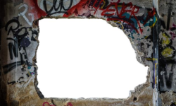 Rasanter Durchbruch: Erreger jetzt in Rekordzeit identifiziert