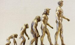 Die Evolution der Keyword-Strategien: Wie sich SEO im Jahr 2025 verändert