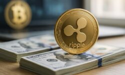 Ripple Kurs