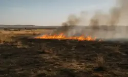 Feuer in der Savanne Namibias – Nachstellung eines Brandes im Etosha-Nationalpark, bei dem ein Drittel der Fläche zerstört wurde.