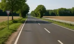 Leere Landstraße mit Bäumen und Feldern bei Weingarten, im Abendlicht aufgenommen, ohne Fahrzeuge oder Personen.