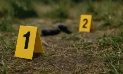 Zwei gelbe Spurensicherungsmarkierungen mit den Nummern 1 und 2 stehen auf einer Wiese mit Erde und Gras, im Hintergrund leicht unscharf.