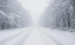erschneite Landstraße mit Bäumen und fallendem Schnee bei trübem Winterwetter.