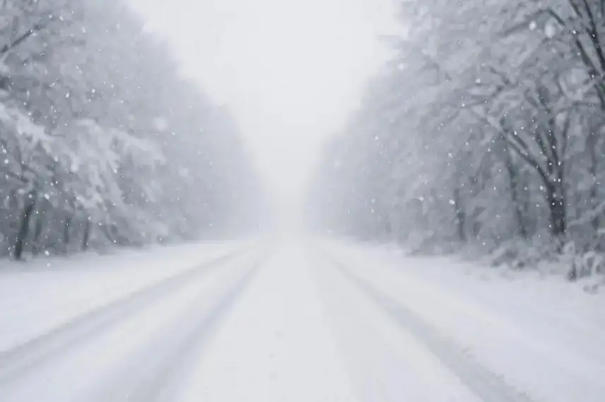 erschneite Landstraße mit Bäumen und fallendem Schnee bei trübem Winterwetter.