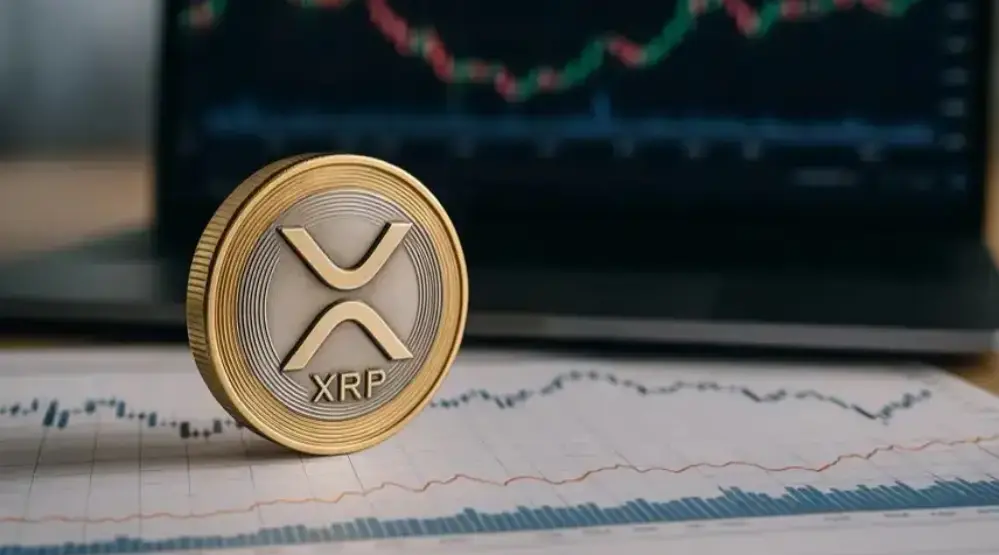 N.A.D.R. - Aktuelle Nachrichten & News