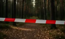 Absperrband vor einem Waldweg in einem herbstlichen Wald, mit unscharfem Hintergrund und natürlichem Licht.