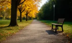 Leerer Parkweg im Herbst mit einer Holzbank am Rand, herabgefallenes Laub auf dem Boden, Bäume mit gelbem Laub, im Hintergrund verschwommen.