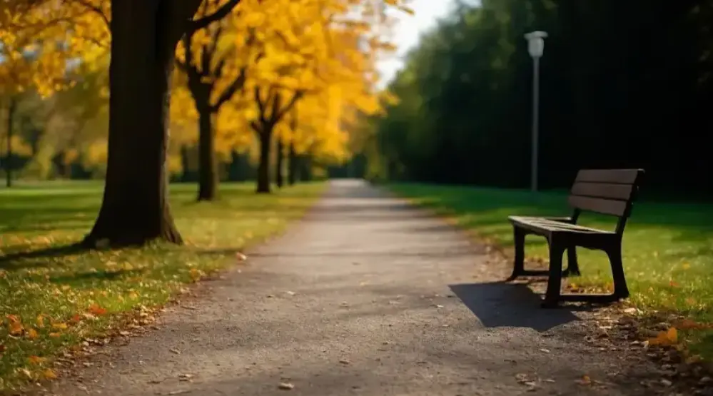 N.A.D.R. - Aktuelle Nachrichten & News