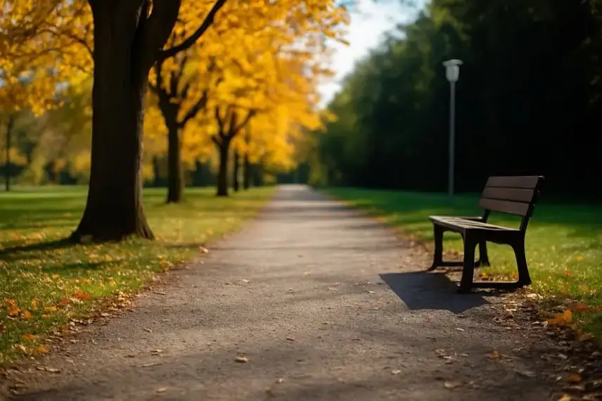 Leerer Parkweg im Herbst mit einer Holzbank am Rand, herabgefallenes Laub auf dem Boden, Bäume mit gelbem Laub, im Hintergrund verschwommen.