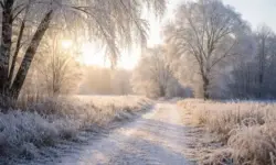 Frostige Winterlandschaft mit Raureif auf Bäumen und klarer Luft bei tief stehender Sonne während kalter Weihnachtstage in Deutschland.