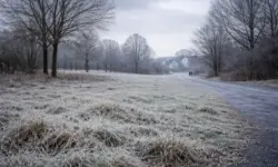 Frostige Winterlandschaft in Deutschland ohne Schneedecke, grauer Himmel, kahle Bäume und Raureif bei kalten Temperaturen.