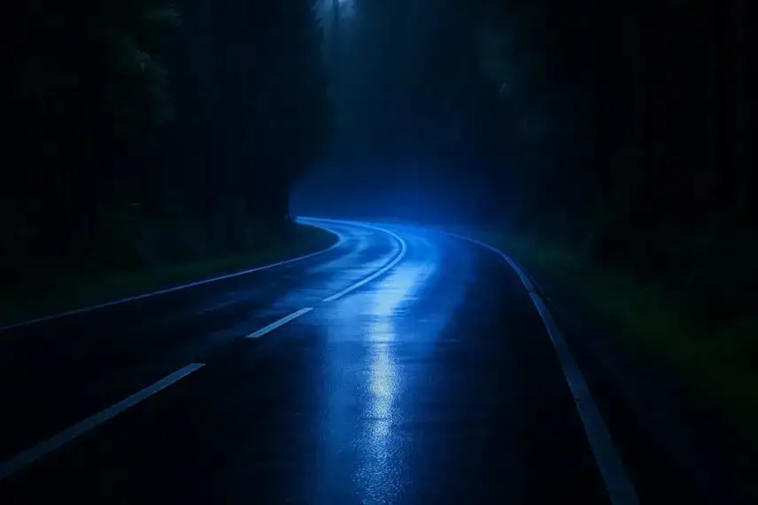 Nächtliche kurvige Landstraße im Schwarzwald mit feuchtem Asphalt und Blaulichtreflexen ohne Menschen oder Fahrzeuge.