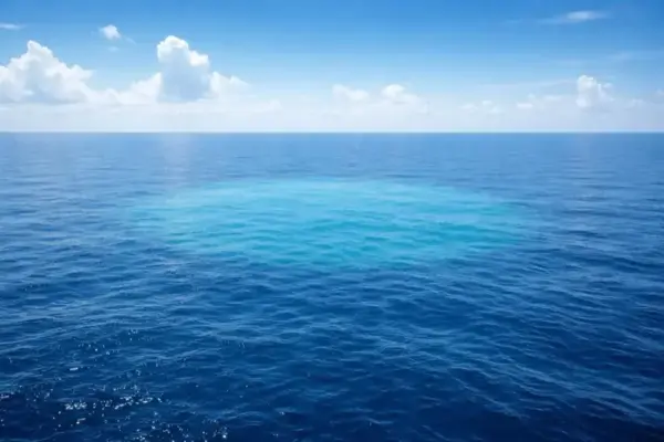 N.A.D.R. - Aktuelle Nachrichten & News