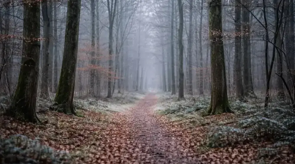 N.A.D.R. - Aktuelle Nachrichten & News