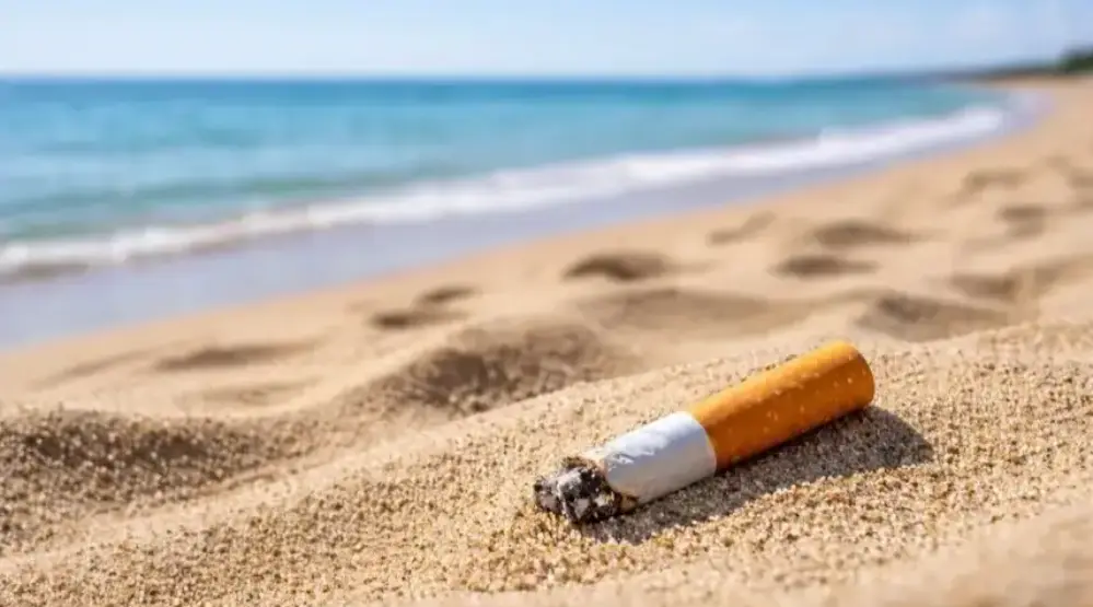 N.A.D.R. - Aktuelle Nachrichten & News